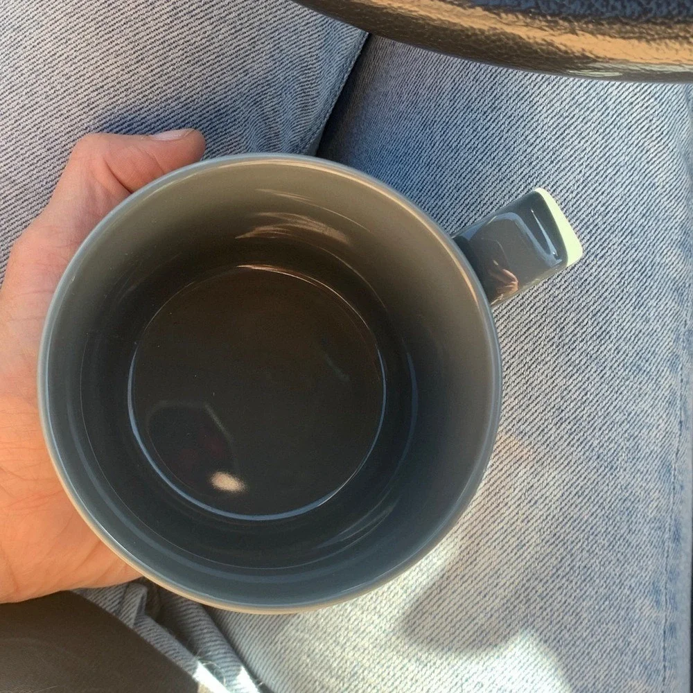 Crate & barrel Aaron Probyn set‎ of 4 mugs gray ceramic